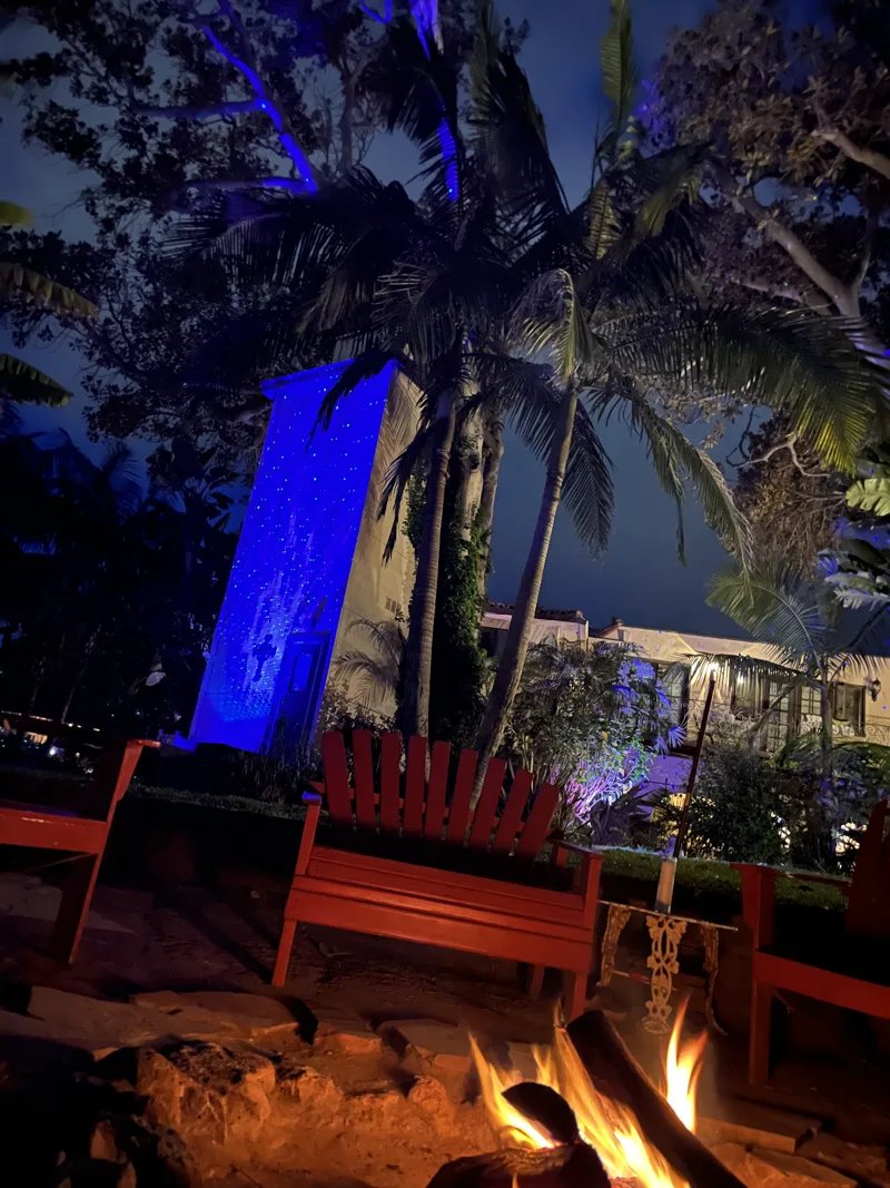 A fire pit beneath a blue-lit palm at night
