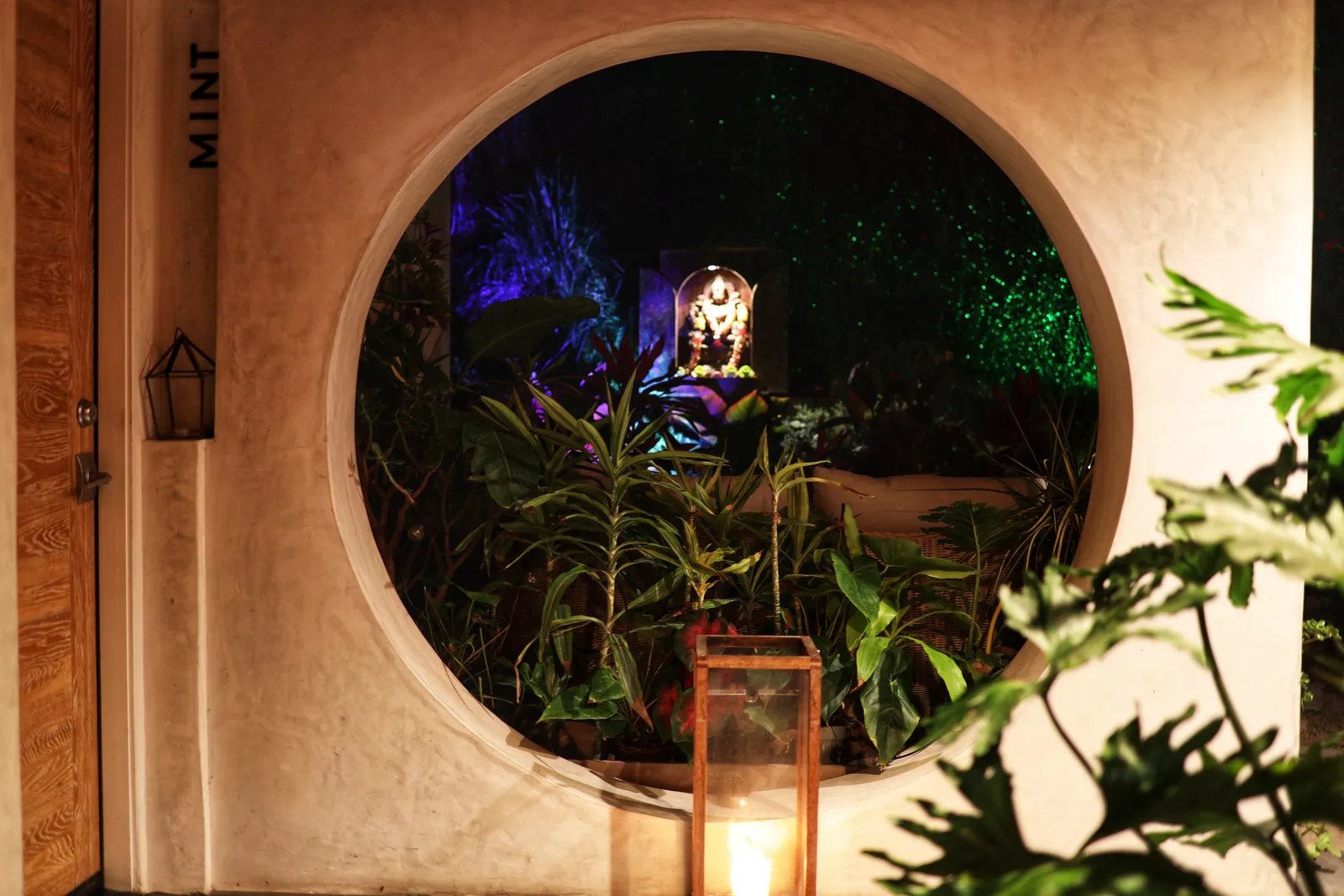 Evening gardens at the Inn at Moonlight Beach under warm light