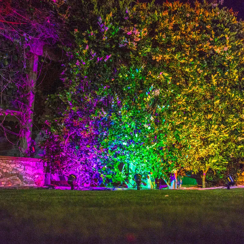Backyard transformed with landscape lighting