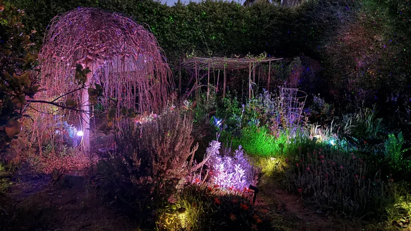 A willow arch glowing in a night garden